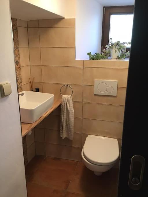 Bed and Breakfast U Zivlu Brlohy Zewnętrze zdjęcie